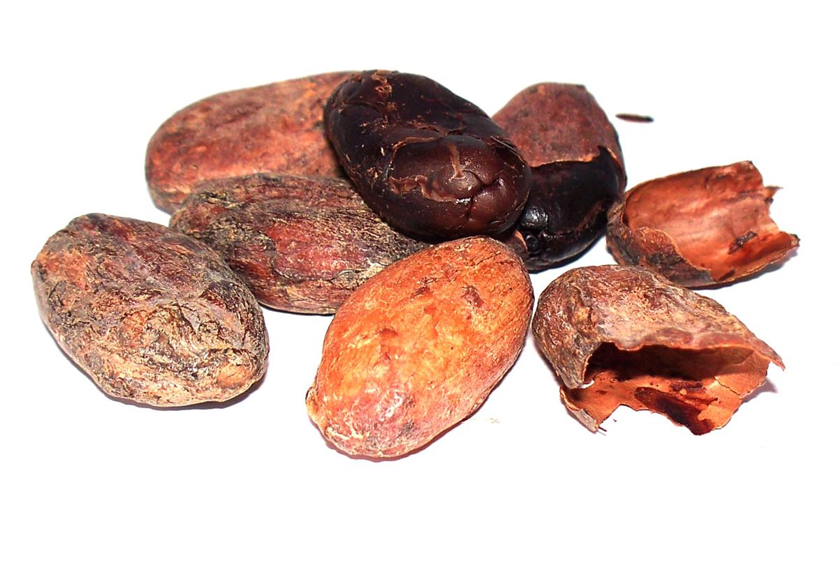 Liečivé plody, bylinné prášky, zelené potraviny - Kakaové bôby Peru 250g